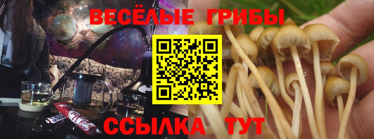 Ярцево  цена   Вход с VPN  Галлюциногенные грибы мицелий  Псилоцибиновые грибы Cubensis 